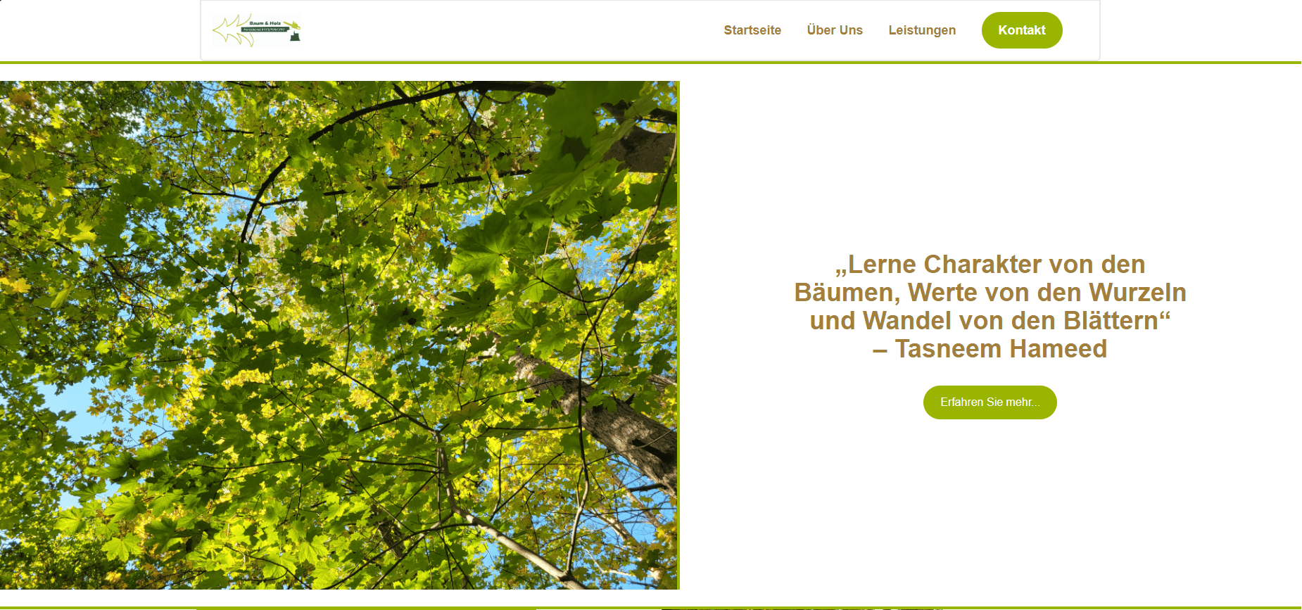 Walddienst Bergmann